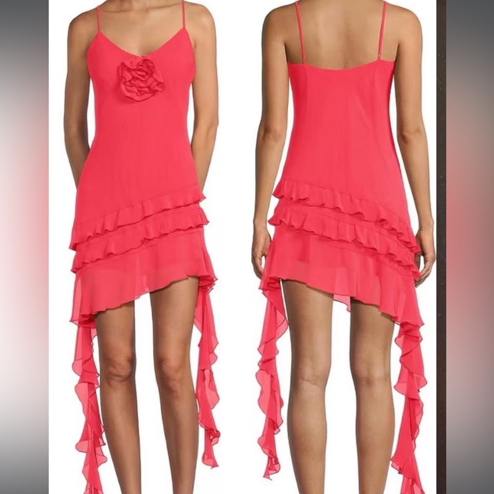 Gianni Bini Sheer Pink Vibrant Flower  Dress